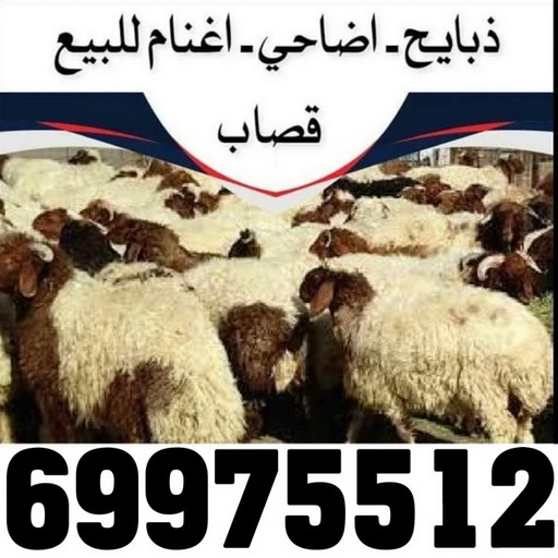 2 فني المنيوم - فني شتر - بالكويت📞97375178 - المنيوم - فني مطابخ - تركيب مطابخ - تصليح مطابخ - تركيب شتر - تصليح شتر - معلم المنيوم - فني المنيوم رخيص