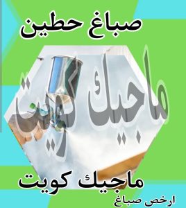 صباغ حطين 