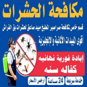مكافحة قوارض - مكافحة حشرات وقوارض -تنظيف بالكويت📞66991461 - شركة حشرات - مكافحة حشرات - شركة مكافحة حشرات - مكافحة بق - مكافحة حشرات الجهراء - مكافحة حشرات الكويت 5 مكافحة الحشرات