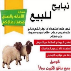 قصاب - قصاب متنقل - ابومحمود📞97703279 - ذبايح - ذبائح الكويت - غنم للبيع - اغنام للبيع - ذبايح للبيع - غنم - سوق غنم - اغنام عربى للبيع - جزار - ذبائح 3 1676441160368 قصاب - قصاب متنقل - ابومحمود📞97703279 - ذبايح - ذبائح الكويت - غنم للبيع - اغنام للبيع - ذبايح للبيع - غنم - سوق غنم - اغنام عربى للبيع - جزار - ذبائح