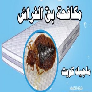 مكافحة بق مكافحة حشرات الفروانية - مكافحة حشرات وقوارض الفروانية - شيخ📞50464050 - شركة حشرات - شركة مكافحة حشرات - مكافحة بق - مكافحة قوارض - مكافحة حشرات الكويت