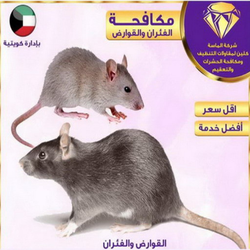 مكافحة حشرات - تنظيف بالكويت📞66991461 - شركة مكافحة حشرات - مكافحة حشرات وقوارض - مكافحة بق - رش صراصير - مكافحة نمل - شركة حشرات - مكافحة فئران 1 مكافحة حشرات - تنظيف بالكويت📞66991461 - شركة مكافحة حشرات - مكافحة حشرات وقوارض - مكافحة بق - رش صراصير - مكافحة نمل - شركة حشرات - مكافحة فئران