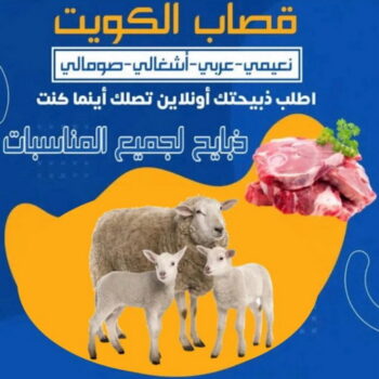 قصاب - قصاب متنقل - ابومحمود📞97703279 - ذبايح - ذبائح الكويت - غنم للبيع - اغنام للبيع - ذبايح للبيع - غنم - سوق غنم - اغنام عربى للبيع - جزار - ذبائح