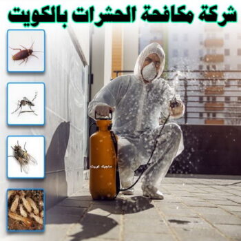 مكافحة حشرات - شركة مكافحة حشرات - شيخ📞50464050 - شركة حشرات - رش حشرات - رش صراصير - مكافحة صراصير - مكافحة بق - مكافحة حشرات وقوارض